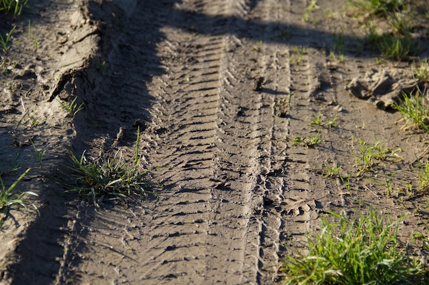 Photo tire tracks on a dirt road