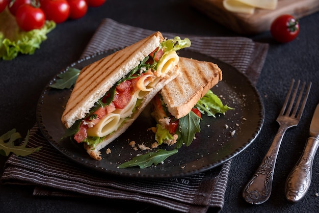 Toast sandwich with cheese tomatoes and vegetables