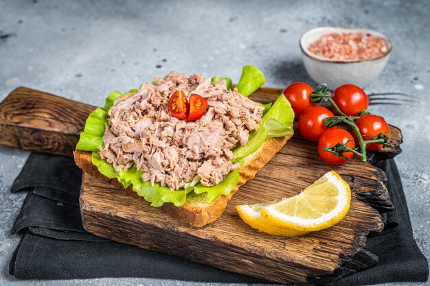 Toast with Canned Tuna fish fillet and salad Gray background Top view