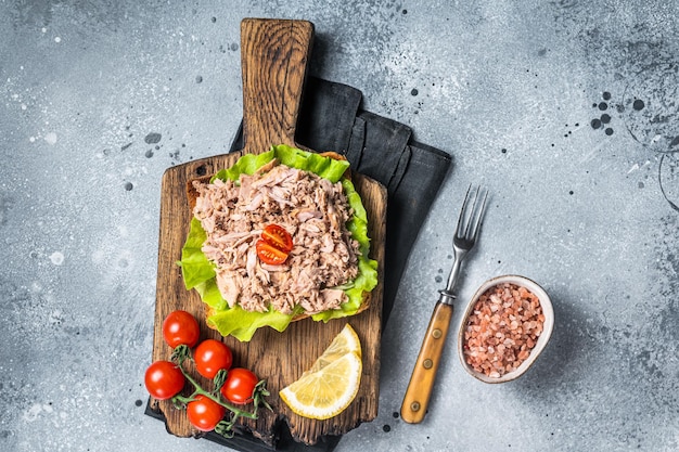 Toast with Canned Tuna fish fillet and salad Gray background Top view