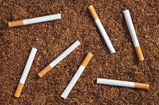 Tobacco and cigarettes as background top view