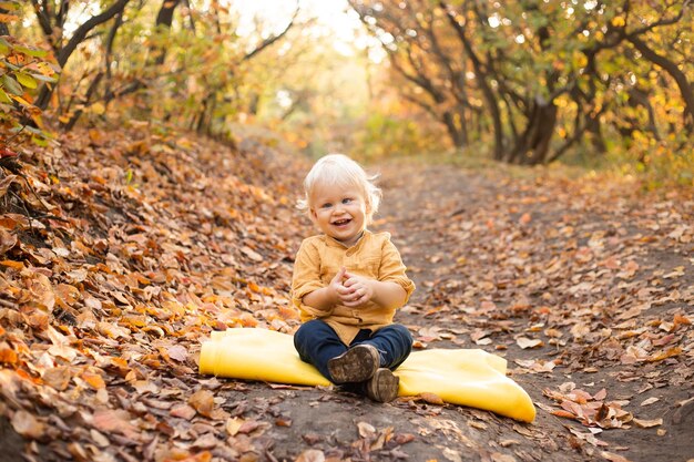 Toddler boy in autumn background with golden and red trees Thanksgiving holiday season