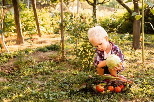 The toddler examines a basket of vegetables