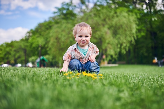 Toddler sitting on the green lawn and looks at the yellow dandelions.