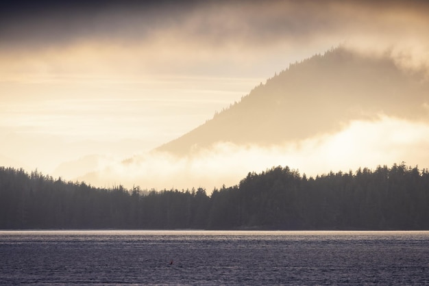 Tofino vancouver island british columbia canada view of canadian mountain landscape