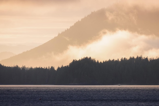 Tofino vancouver island british columbia canada view of canadian mountain landscape