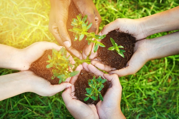 Together we can grow a greener tomorrow Cropped shot of a group of people each holding a plant growing in soil