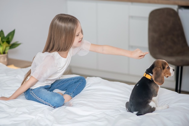 Together with pet. A long-haired girl playing with her puppy on the bed