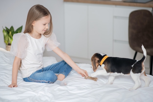 Together with pet. A long-haired girl playing with her puppy on the bed