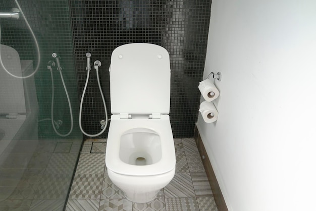 Toilet bowl in modern homes