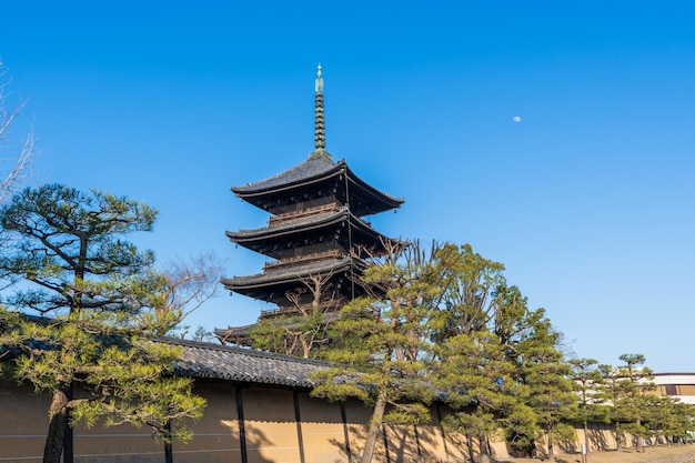 Toji Temple Fivestoried Pagoda World Heritage Site Kyoto Japan