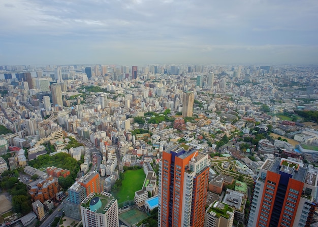 Tokyo aerial taken from Roppongi Hills building.