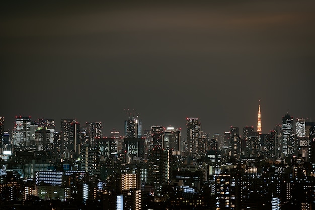 Tokyo cityscape, Japan