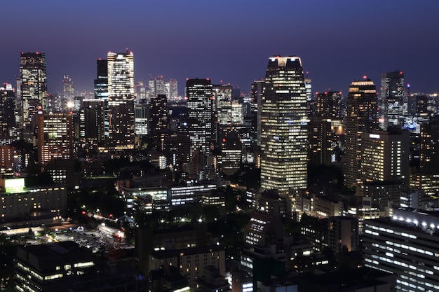 Tokyo cityscape at night