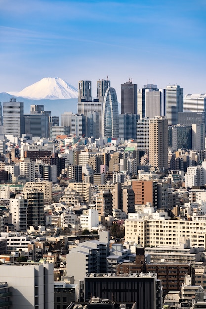 Tokyo skyline and Mountain fuji in Japan.