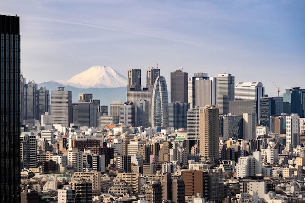 Tokyo skyline and Mountain fuji in Japan.