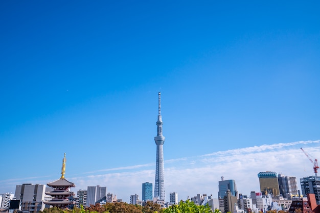 Tokyo skytree bluidings over a blue sky