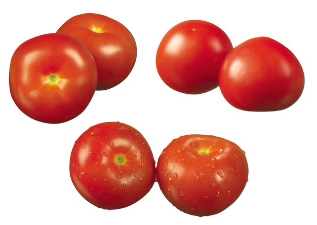 tomate