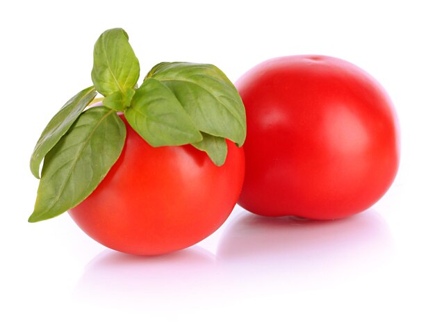 Tomato and basil isolated on white