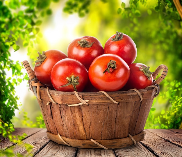 Tomato in basket