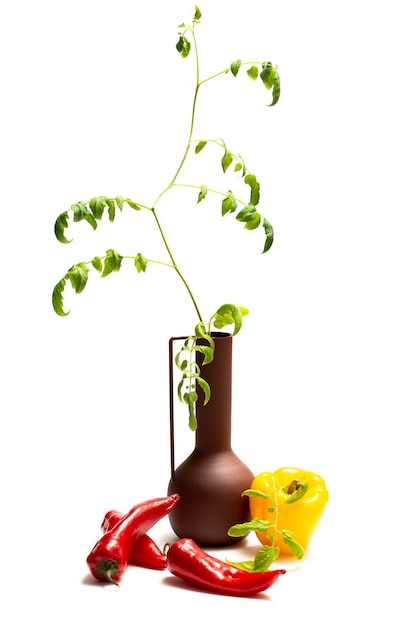 Tomato bush in a vase and sweet pepper fruits on a white background