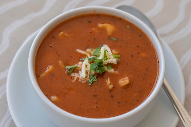 Tomato soup with cheese and fresh parsley closeup