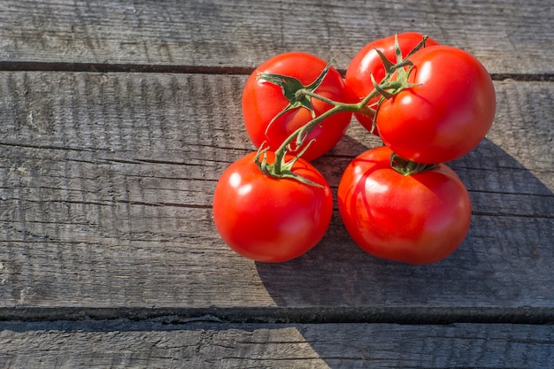 Tomatoes on branch on wooden board. Space for text.