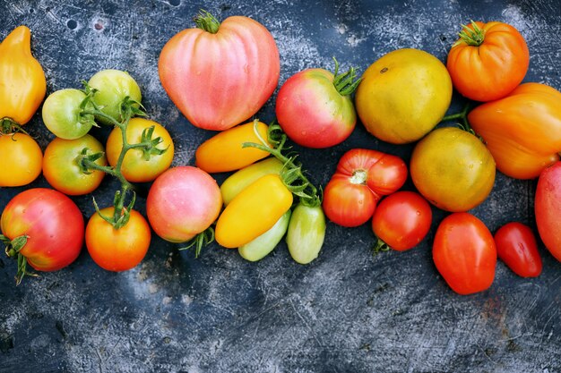 Tomatoes on a dark background, top view