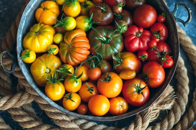 Tomatoes of different colors are displayed as a gradient on a dark background.