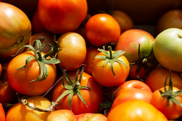 Tomatoes of different ripeness in a box on a sunny summer day. Harvesting season. Healthy foods from nature.