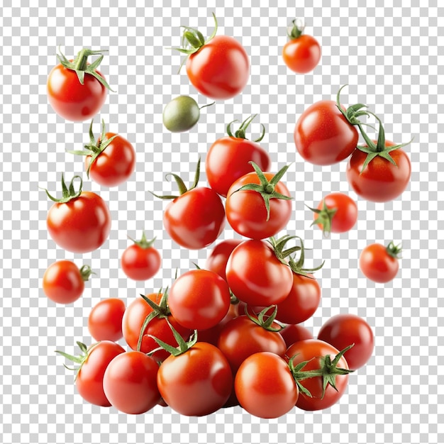 Tomatoes falling from a vine on transparent background