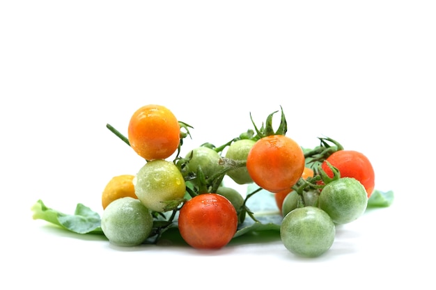 Photo tomatoes isolated on white background, organic vegetable