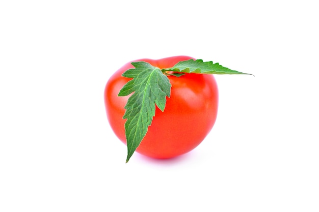 Tomatoes isolated on white