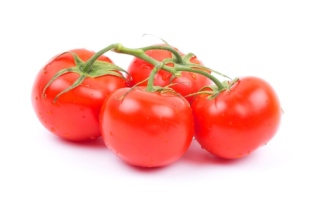 Tomatoes on a white background