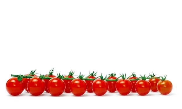 Tomatoes