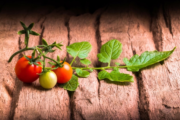 Tomatos in wooden plate on black background