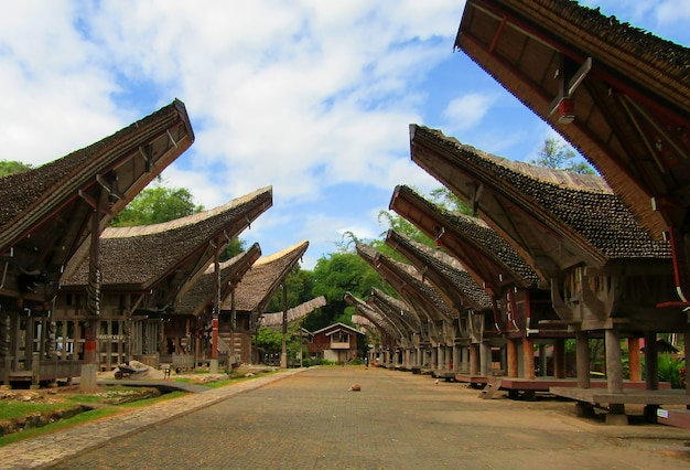 Tongkonan Houses at Kete Kesu, a Torajan Village