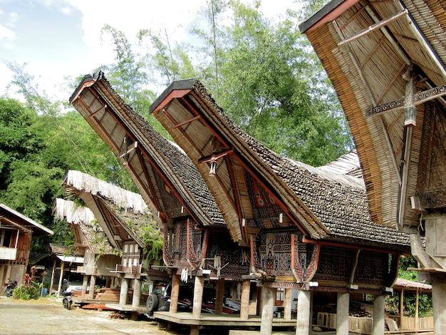 Tongkonan Houses in Torajan Village, South Sulawesi