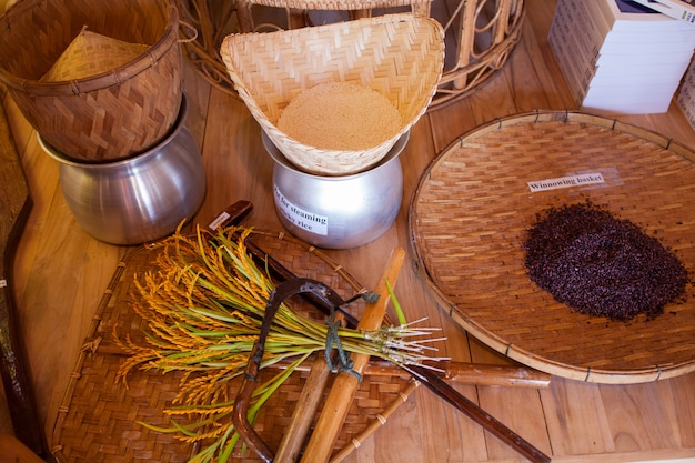 Tools in the rice cluster at Expo 2015, Milan