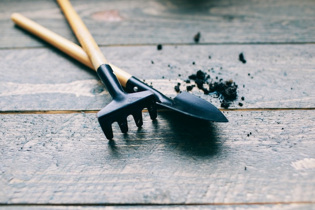 tools for working in the garden on a light wooden background