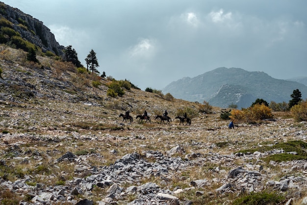 On the top of the Agion Oros (Athos Mountain) in Greece. Mountain landscape and tranquil nature.