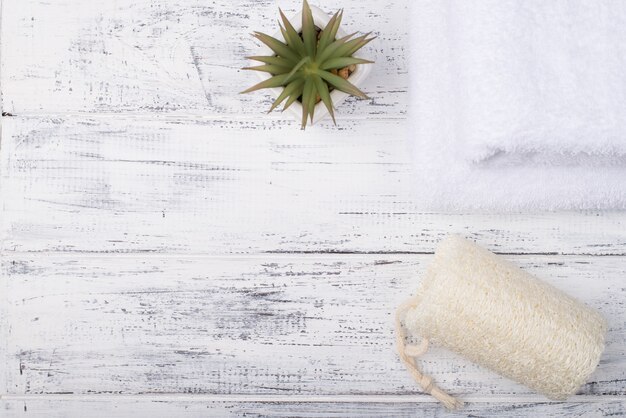 Photo top above overhead view photo of a luffa sponge and a succulent isolated on white wooden background with copyspace