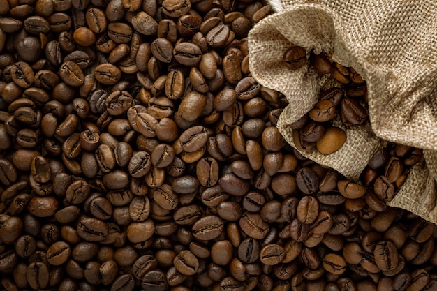 Top photo of coffee beans where the light falls on them laterally to highlight their texture and shadows