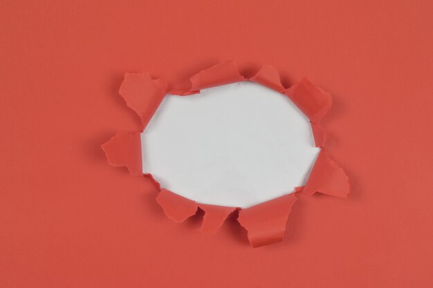 Top view of abstract background concept with ripped red paper on white background and copy space