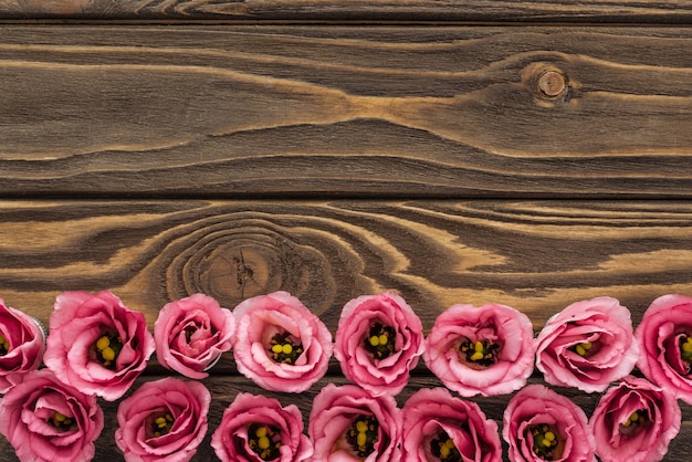 Top view of arranged pink eustoma flowers on wooden table with copy space