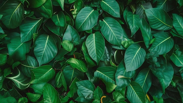 Top view assortment of green leafs with copy space