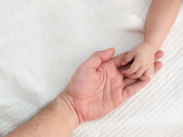 Top view of baby hand holding dad's hand on white cloth background