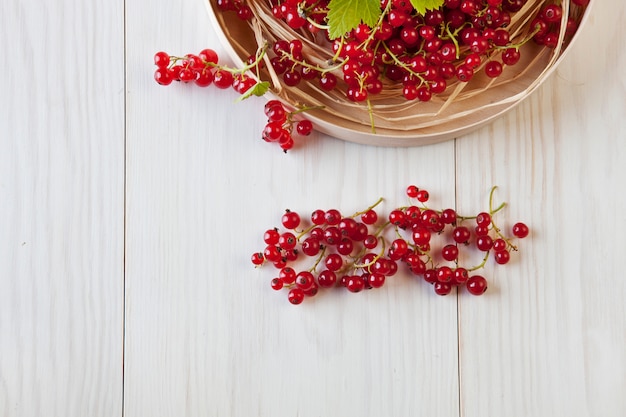 Top view of basket with juicy ripe red currant on white wooden background