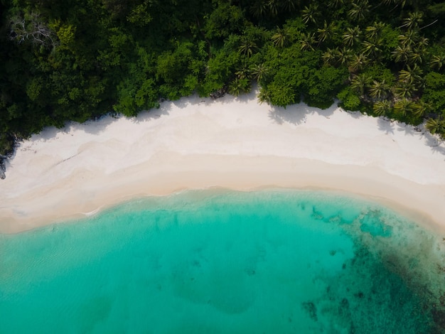 Top view bay sea sand beach seaside sunny forest background