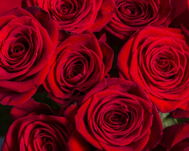 Top view beautiful bouquet of roses